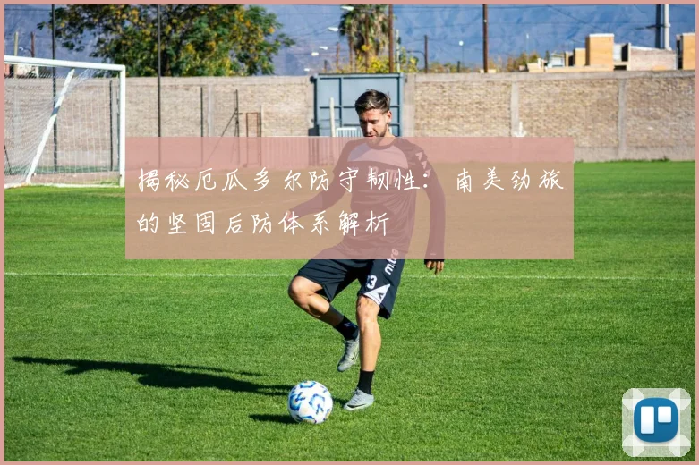 揭秘厄瓜多尔防守韧性：南美劲旅的坚固后防体系解析